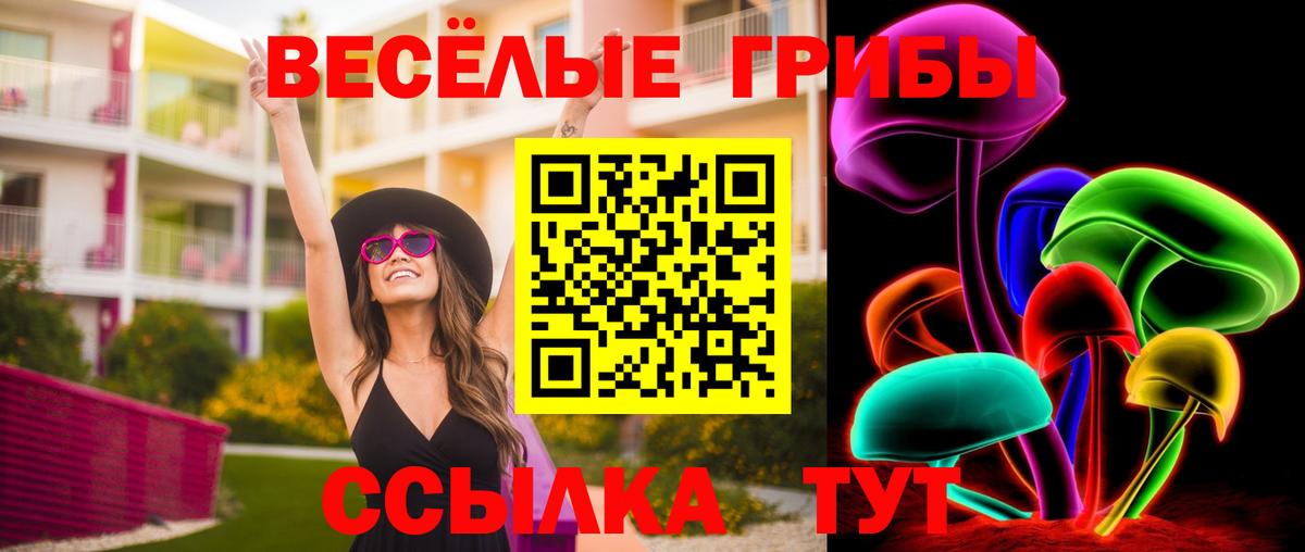 Псилоцибиновые грибы мухоморы  Галлюциногенные грибы прущие грибы  Кизилюрт  как найти закладки  Вход с VPN 